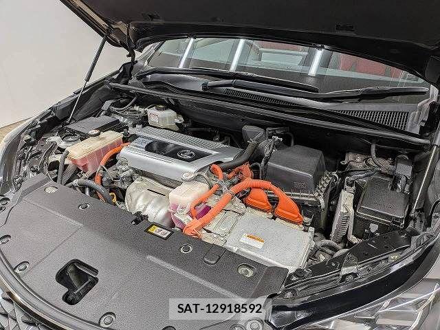 Lexus NX 2019-03 8485641-13