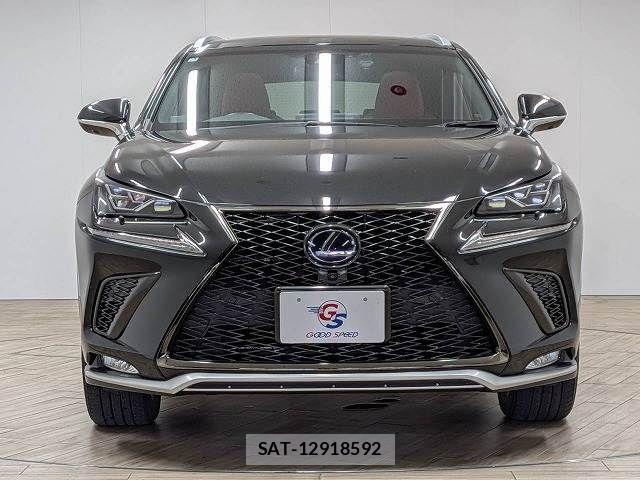 Lexus NX 2019-03 8485641-14