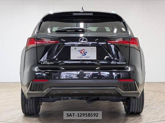 Lexus NX 2019-03 8485641-15