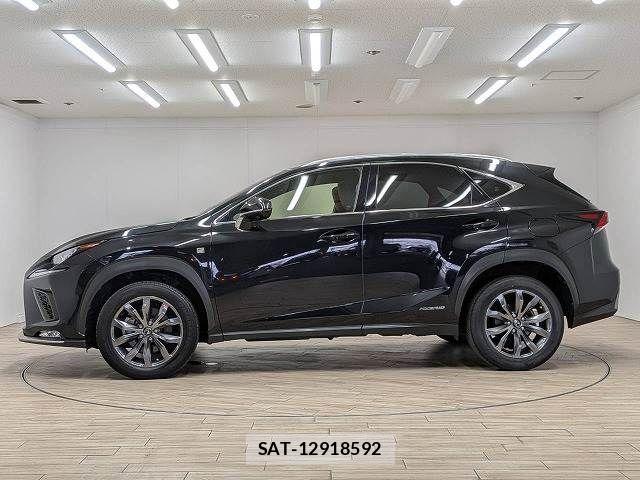 Lexus NX 2019-03 8485641-16