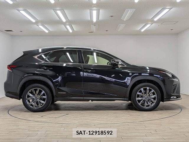 Lexus NX 2019-03 8485641-17