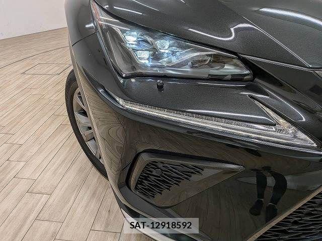 Lexus NX 2019-03 8485641-19