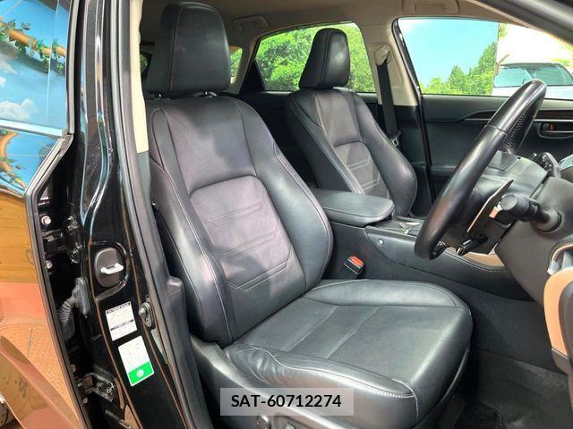 Lexus NX 2020-01 8525566-10