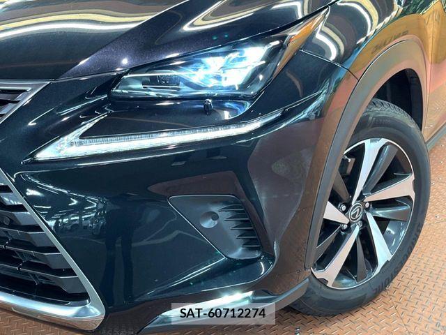 Lexus NX 2020-01 8525566-13