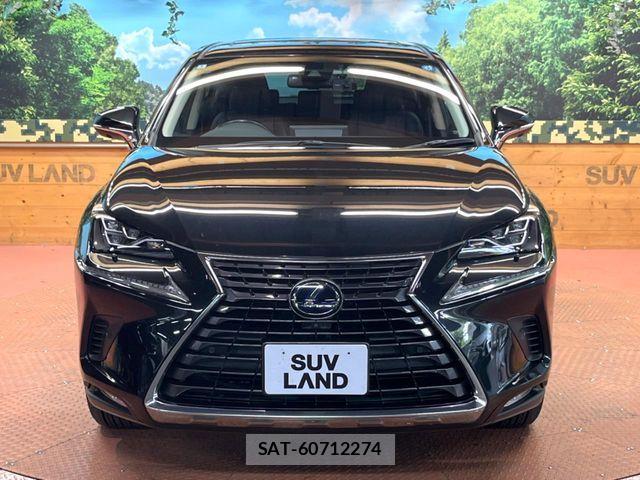 Lexus NX 2020-01 8525566-15