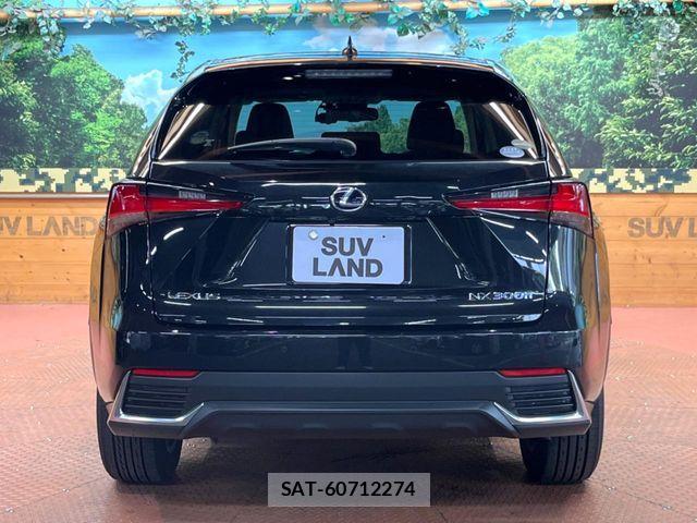 Lexus NX 2020-01 8525566-16