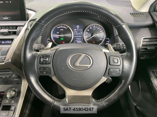 Lexus NX 2017-04 8525568-10