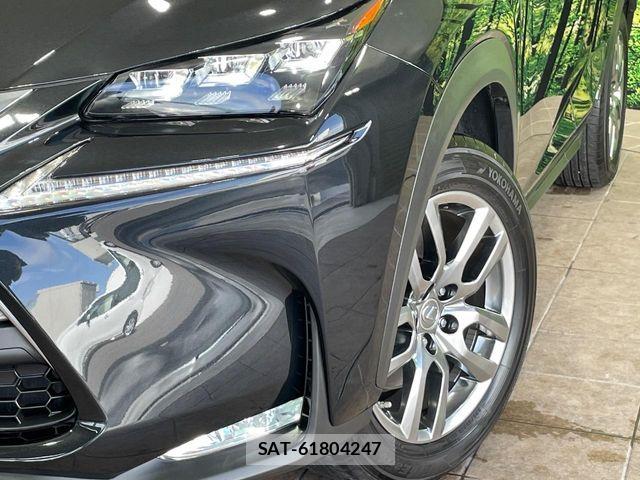 Lexus NX 2017-04 8525568-11