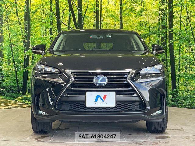 Lexus NX 2017-04 8525568-13