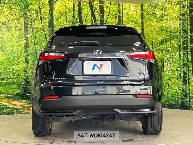 Lexus NX 2017-04 8525568-14