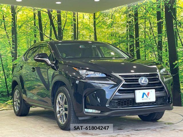 Lexus NX 2017-04 8525568-15