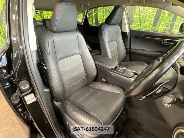 Lexus NX 2017-04 8525568-7