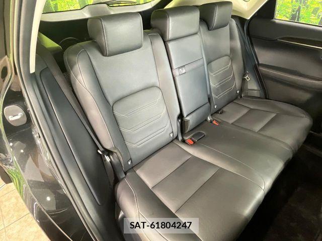 Lexus NX 2017-04 8525568-8