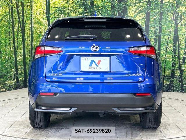 Lexus NX 2016-10 8525569-14
