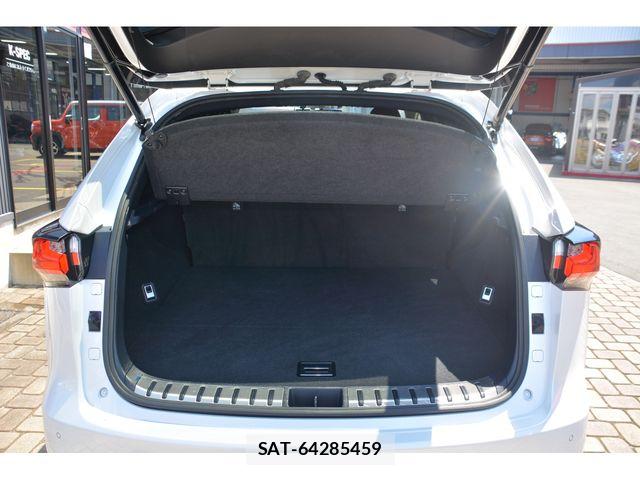 Lexus NX 2015-07 8562465-18