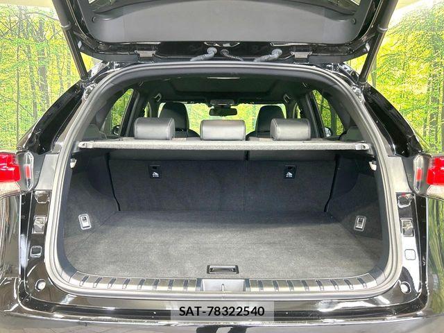 Lexus NX 2020-03 8562457-10
