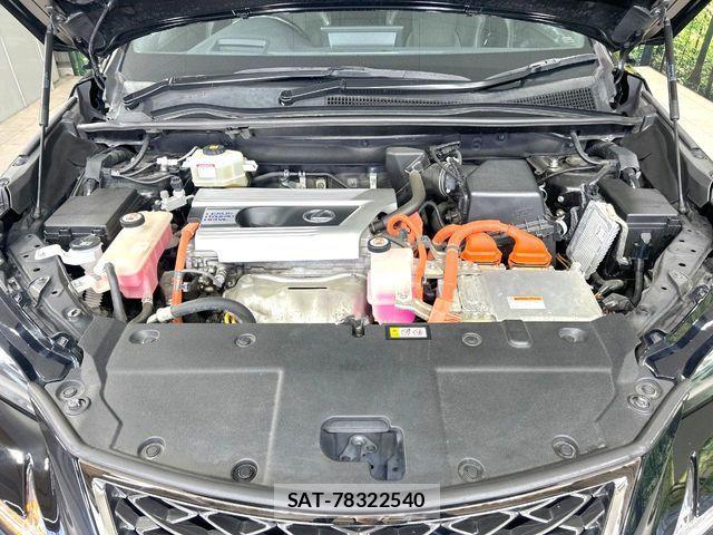 Lexus NX 2020-03 8562457-18