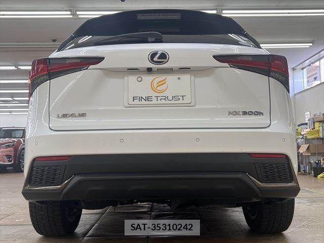 Lexus NX 2018-12 8627498-17