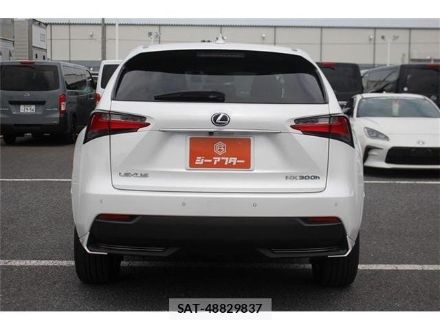 Lexus NX 2014-08 8627503-12