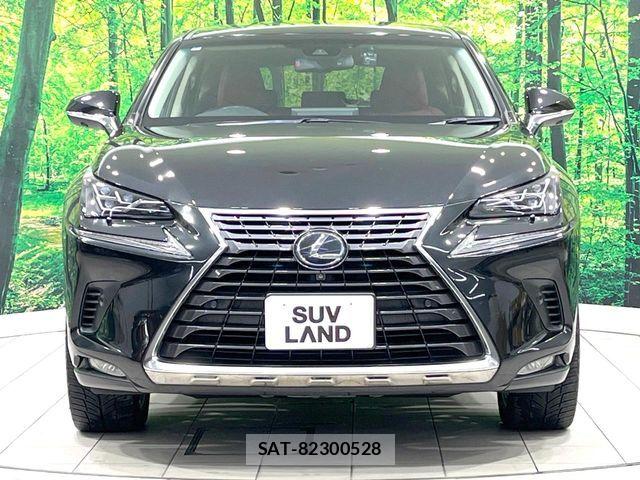 Lexus NX 2018-07 8627501-13