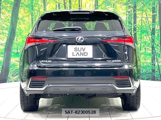 Lexus NX 2018-07 8627501-14