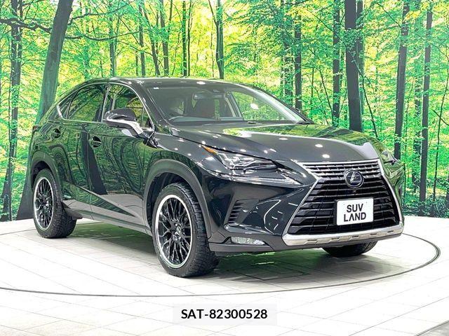 Lexus NX 2018-07 8627501-15