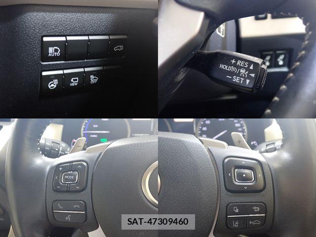 Lexus NX 2018-07 8627494-18