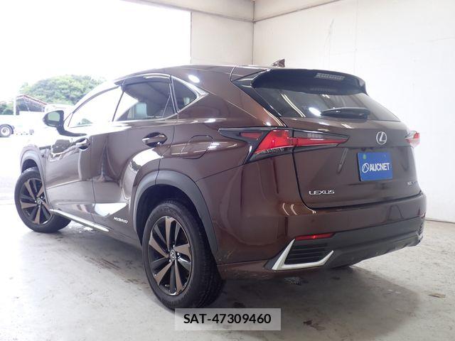 Lexus NX 2018-07 8627494-2