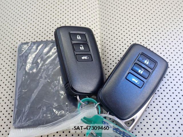 Lexus NX 2018-07 8627494-29