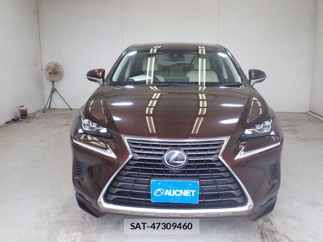 Lexus NX 2018-07 8627494-4