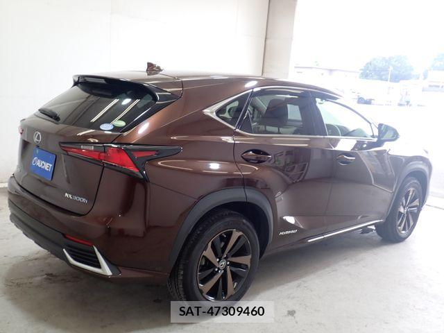 Lexus NX 2018-07 8627494-7