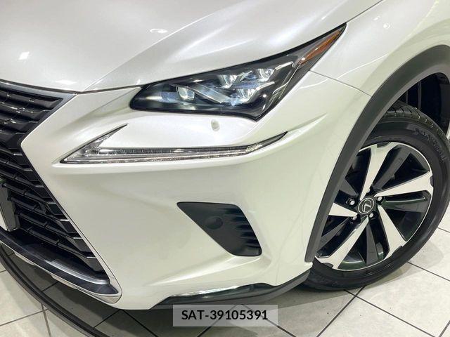 Lexus NX 2020-11 8627497-11