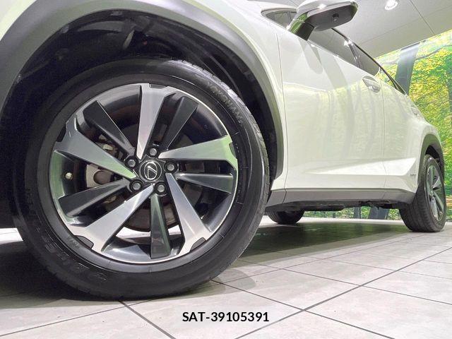 Lexus NX 2020-11 8627497-12