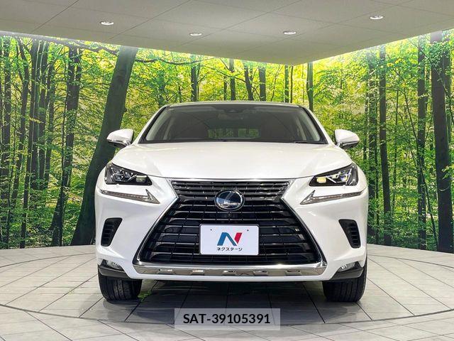 Lexus NX 2020-11 8627497-13