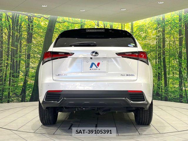 Lexus NX 2020-11 8627497-14