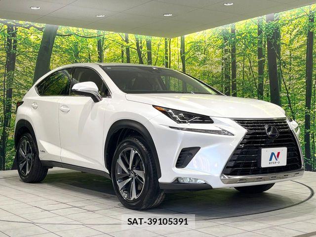 Lexus NX 2020-11 8627497-15