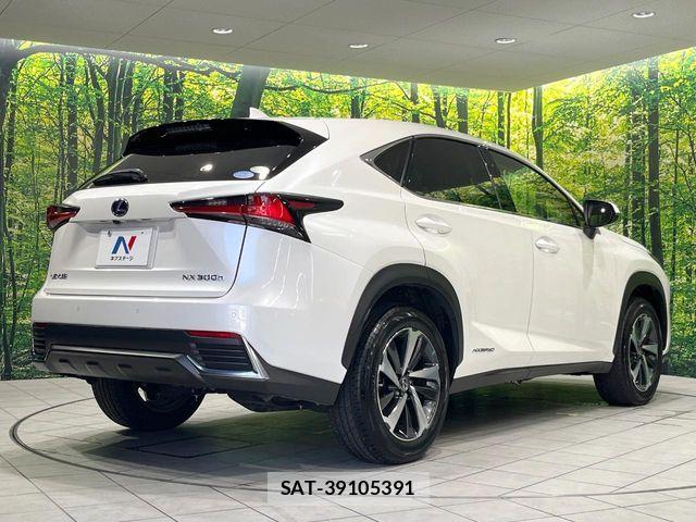 Lexus NX 2020-11 8627497-16