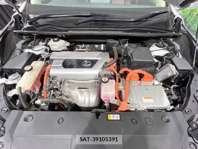 Lexus NX 2020-11 8627497-17
