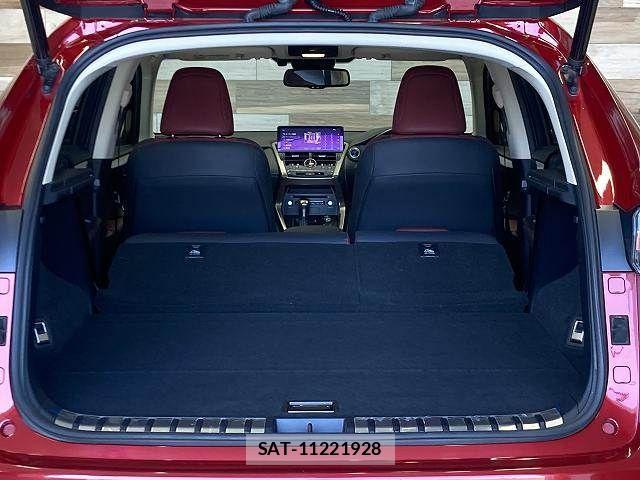 Lexus NX 2018-04 8627499-13
