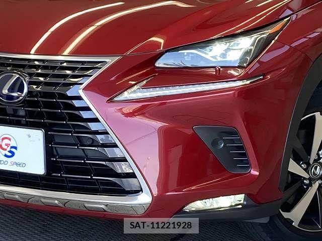 Lexus NX 2018-04 8627499-19