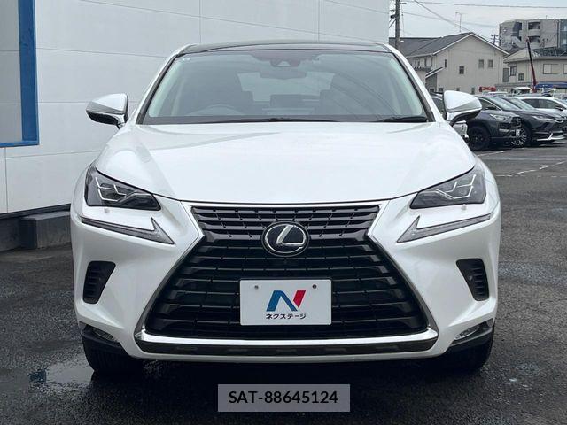 Lexus NX 2020-01 8627495-13