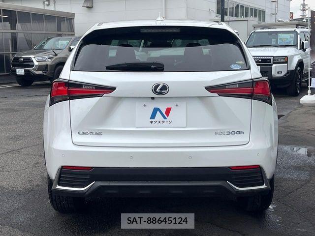 Lexus NX 2020-01 8627495-14