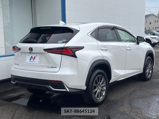 Lexus NX 2020-01 8627495-16