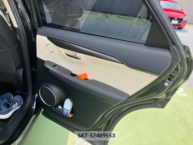 Lexus NX 2017-11 8627502-13