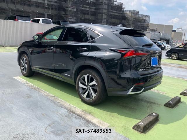 Lexus NX 2017-11 8627502-4