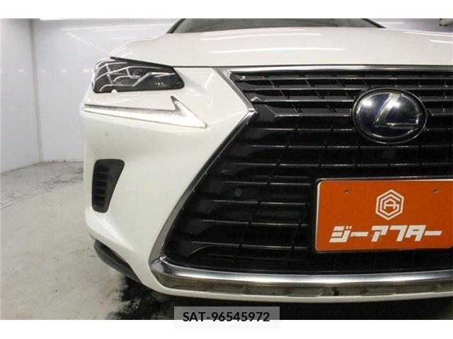 Lexus NX 2017-12 8659969-10
