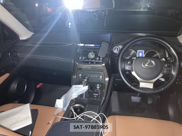Lexus NX 2019-01 8666416-11