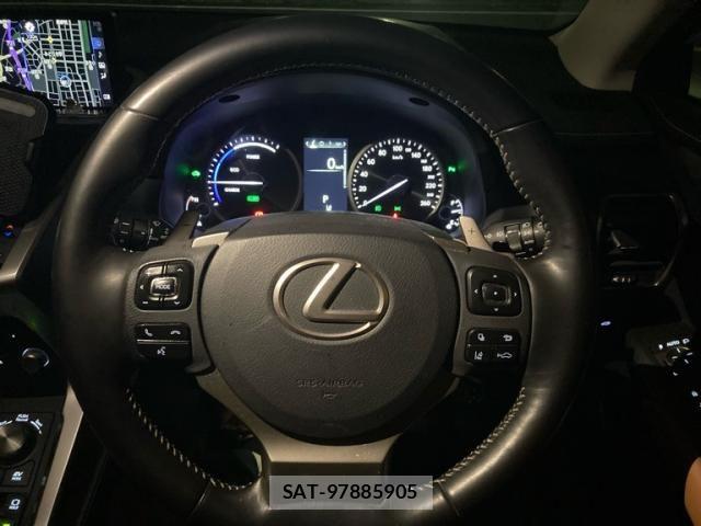 Lexus NX 2019-01 8666416-12