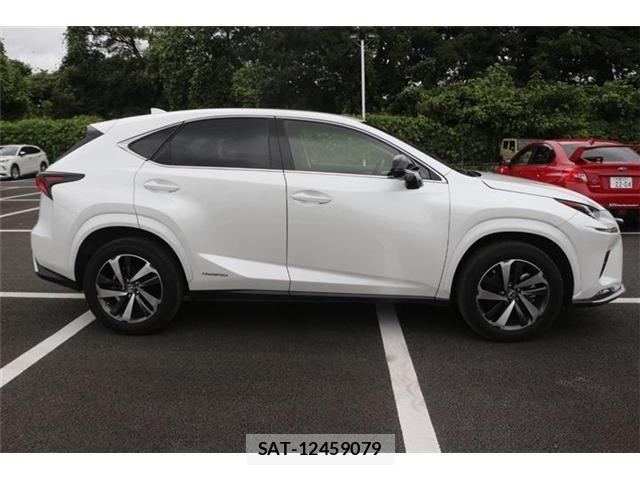 Lexus NX 2021-07 8666415-9