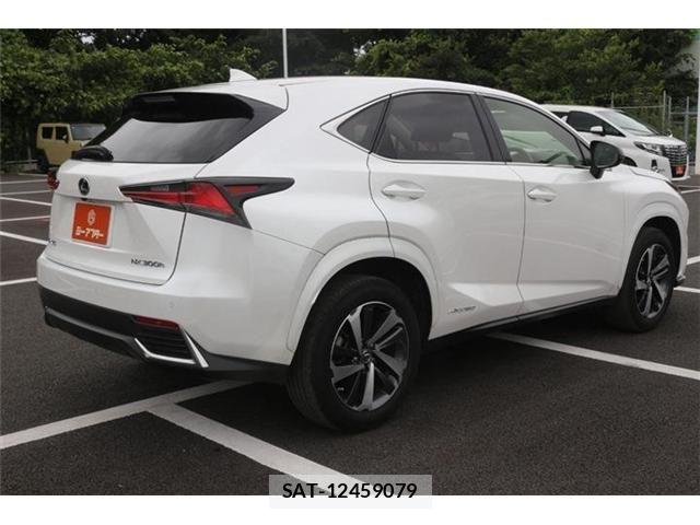 Lexus NX 2021-07 8666415-10